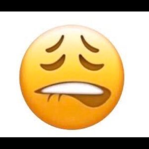 Meet your Posher, Litzy